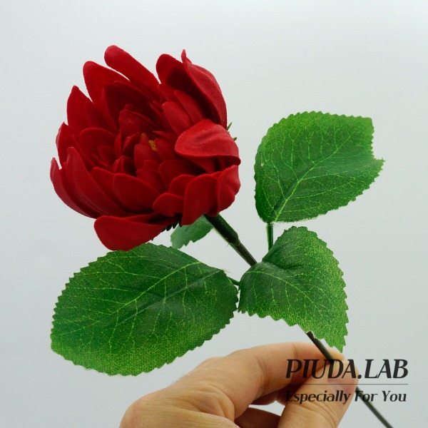 다알리아 비누꽃 한송이 레드 꽃대포함-피우다랩