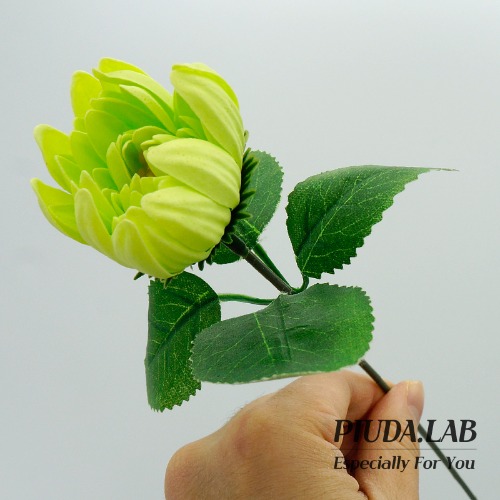 다알리아 비누꽃 한송이 연그린 꽃대포함-피우다랩