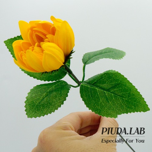 다알리아 비누꽃 한송이 진노랑 꽃대포함-피우다랩