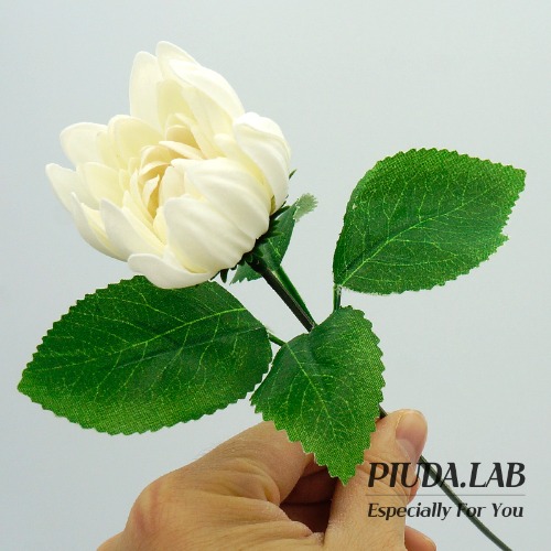 다알리아 비누꽃 한송이 크림 꽃대포함-피우다랩