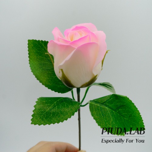 그라데이션장미 비누꽃 한송이 핑크 꽃대포함-피우다랩