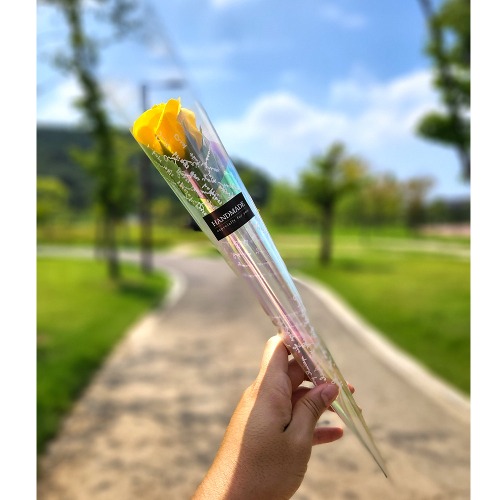 비누꽃다발 홀로그램 장미한송이포장/장미꽃한송이-피우다랩