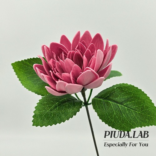 다알리아 비누꽃 한송이 핫핑크 꽃대포함-피우다랩
