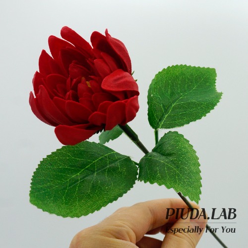 다알리아 비누꽃 한송이 레드 꽃대포함-피우다랩